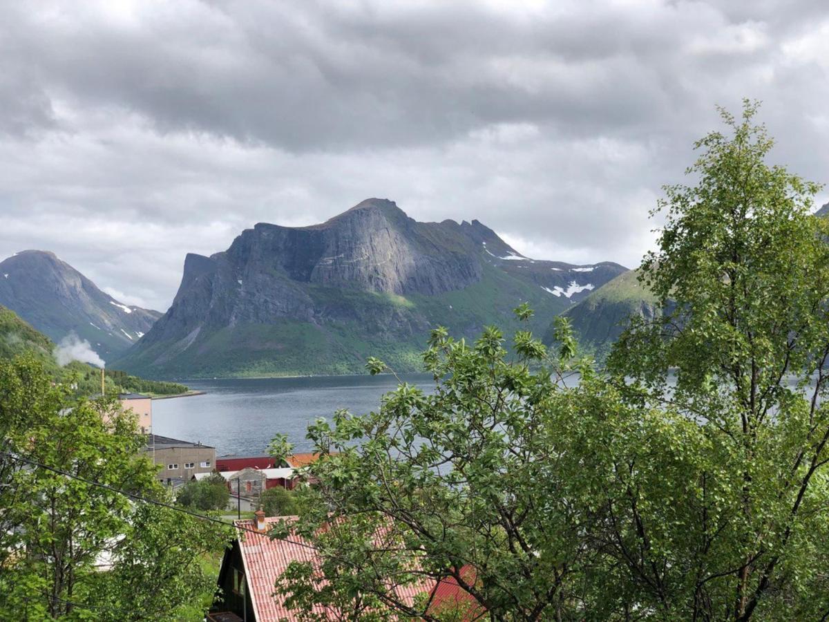 Hus på bakken Leilighet Skaland Eksteriør bilde